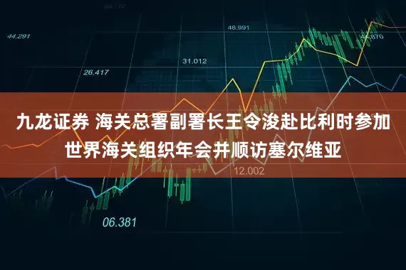 九龙证券 海关总署副署长王令浚赴比利时参加世界海关组织年会并顺访塞尔维亚