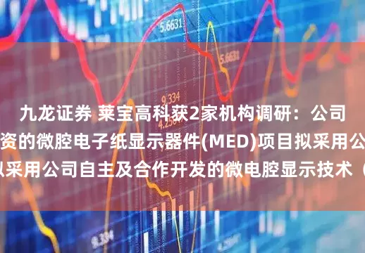 九龙证券 莱宝高科获2家机构调研：公司与地方政府合作投资的微腔电子纸显示器件(MED)项目拟采用公司自主及合作开发的微电腔显示技术（附调研问答）