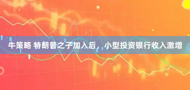 牛策略 特朗普之子加入后,小型投资银行收入激增