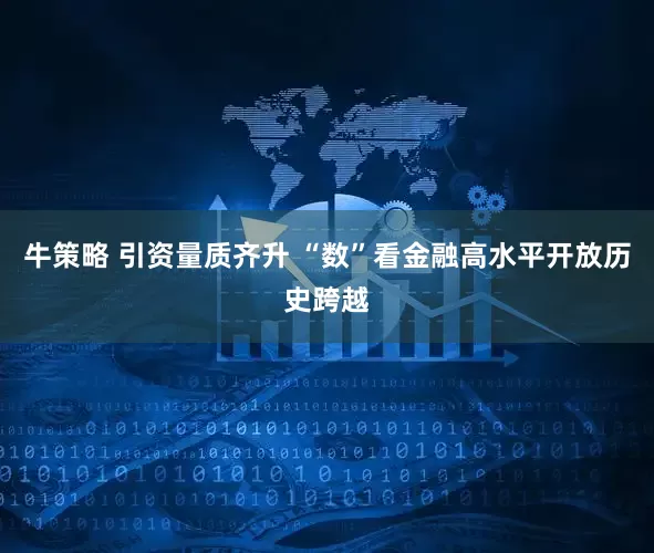 牛策略 引资量质齐升 “数”看金融高水平开放历史跨越
