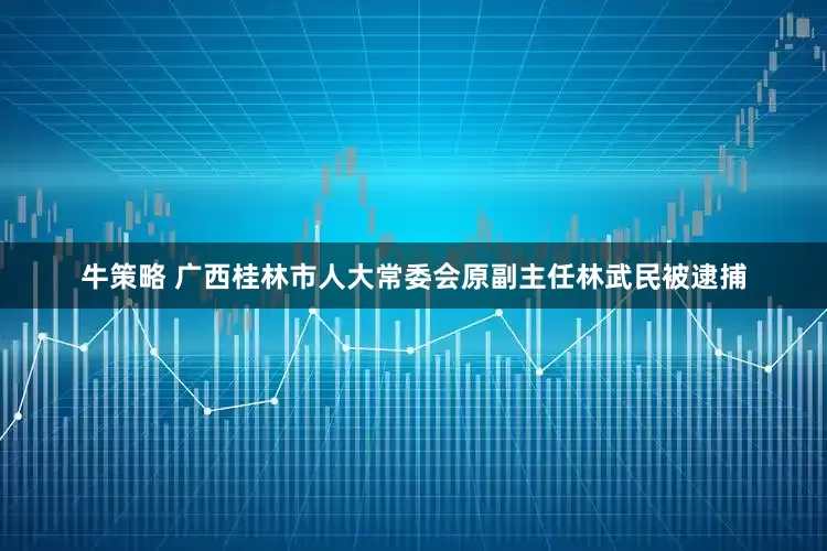 牛策略 广西桂林市人大常委会原副主任林武民被逮捕