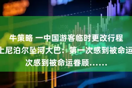 牛策略 一中国游客临时更改行程，错过坐上尼泊尔坠河大巴：第一次感到被命运眷顾……