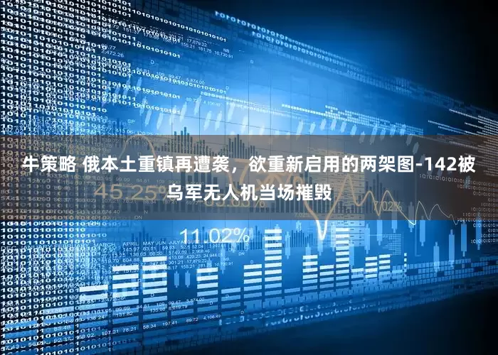 牛策略 俄本土重镇再遭袭，欲重新启用的两架图-142被乌军无人机当场摧毁